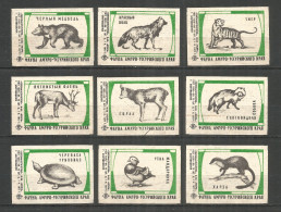 RUSSIA USSR 1977 Matchbox Labels 9v - Animals - Cajas De Cerillas - Etiquetas