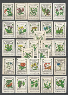 RUSSIA USSR 1977 Matchbox Labels 28v - Medicinal Plants - Boites D'allumettes - Etiquettes