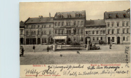 Sebnitz - Markt - Reliefkarte - Sebnitz