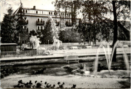 Bad König - Kurgarten - Bad König