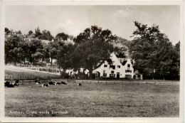 Arnhem - Grete Weide Sonsbeek - Arnhem