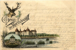 Gruss Aus Moritzburg 1892 - Vorläufer Dresden - Dresden
