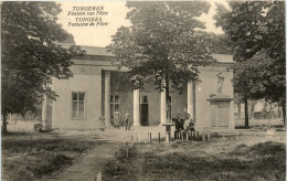 Tongeren - Fontein Von Pline - Sonstige & Ohne Zuordnung