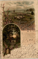 Gruss Aus Der Lüneburger Heide - Litho - Lüneburg