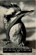 Australia - Kookaburra - Snake - Andere & Zonder Classificatie