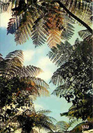 Antilles - Fougères Arborescentes - Carte Neuve - CPM - Voir Scans Recto-Verso - Other & Unclassified