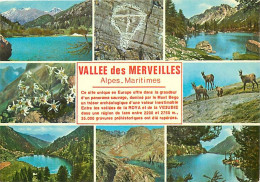 06 - Vallée Des Merveilles - Multivues - Gravures Préhistoriques - CPM - Carte Neuve - Voir Scans Recto-Verso - Andere & Zonder Classificatie