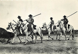 Animaux - Chevaux - Gardians - CPM - Voir Scans Recto-Verso - Horses