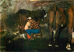 Animaux - Vaches - Heure De La Traite Dans L'étable - CPM - Carte Neuve - Voir Scans Recto-Verso - Cows