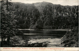 Feldberg I. Schwarzwald, Feldsee Mit Blick Auf Seebuck Und Bismarckdenkm - Feldberg