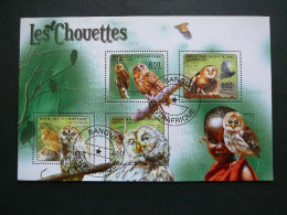 Owls. Eulen. Les Hiboux  # Central African Republic # 2011 Used S/s #157 Birds - Uilen