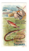 Chromo Chocolat Suchard, S 131 / 8, Serie Poissoins De La Mer - Suchard