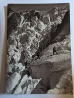 CP  Alpinisme Sous Les Grands Mulets Ascension Du Mont-Blanc - Alpinisme