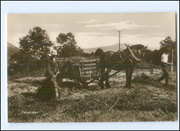 S3500/ Heuernte Höionn Norwegen Foto Trinks-Bildkarte AK-Format Ca.1925 - Norvège