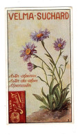 Chromo Chocolat Suchard, S 194 / 3, Serie Fleurs Des Alpes - Suchard