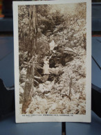 SHERBROOKE FALLS  - Australie - Australia - Other & Unclassified