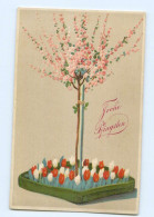 Y8669/ Frohe Pfingsten Tulpen Litho Prägedruck AK - Pinksteren