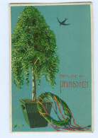 Y8630/ Fröhliche Pfingsten 1909 Litho Prägedruck AK - Pinksteren