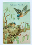 Y8423/ Pfingsten Vögel Singvögel Vogelnest Litho Präge AK 1906 - Pinksteren