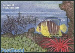 Gambia 1995 Queen Angelfish S/s, Mint NH, Nature - Fish - Fishes