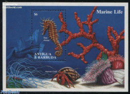 Antigua & Barbuda 1994 Sea Horse S/s, Mint NH, Nature - Fish - Fishes