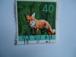 POLSKA  POLAND USED STAMPS  ANIMALS FOX - Sonstige & Ohne Zuordnung