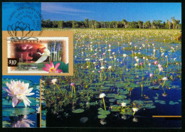 Mk Australia Maximum Card 1997 MiNr 1633 Y | Fauna And Flora. Kakadu Wetlands. Great Egret #max-0029 - Cartoline Maximum