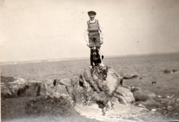 Photographie Photo Vintage Snapshot Chien Dog Puppy Pet Beach Mer  - Autres & Non Classés