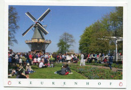 AK 213406 NETHERLANDS - Lisse - Keukenhof - Lisse