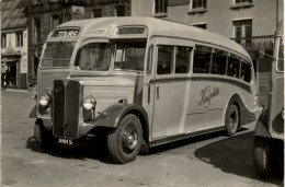 Bus - Autobús & Autocar