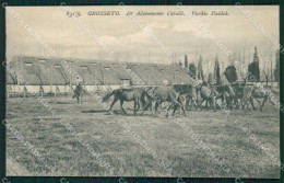 Grosseto Città Allevamento Cavalli SCOLLATA Cartolina WX1479 - Grosseto