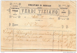 1899 CRESPINO ROVIGO - VERDI TIZIANO - CALZATURE - Italia
