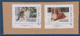 Sur Fragment Nos Fidèles Compagnon Chien Et Chat Sur La Neige TVP LV Oblitérés - Used Stamps