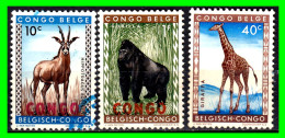 CONGO BELGA - BELGICA - ( AFRIKA ) SELLOS DIFERENTES AÑOS Y VALORES - Used Stamps