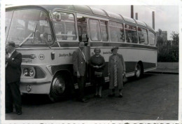 Bus - Autobús & Autocar