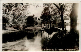 Bickerley Stream - Ringwood - Other & Unclassified