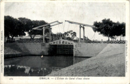 Ismailia - L Exluse Du Canal D Eau Douce - Ismaïlia