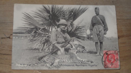 NIGERIA : A Leopard, Northerne Nigéria ................ BE-18026 - Nigeria