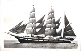 Segelschiff Seute Deern - Velieri