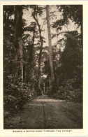 Nigeria - A Motor Road Through The Forest - Nigeria