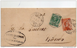 1924  LETTERA CON ANNULLO  GRAVINA DI PUGLIA BARI - AFFRANCATURA  MISTA - Poststempel