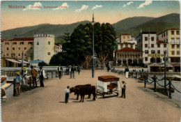 Madeira - Avenida Gonsalves Zarco - Madeira