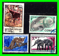 REPUBLICA DU CONGO Y CONGO BELGA - ( AFRIKA ) SELLOS DIFERENTES AÑOS Y VALORES - Used Stamps