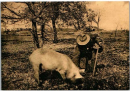 Deux Périgords Trouvent La Truffe. Carte Ecomusée De La Truffe Sotges En Périgord. - Farmers