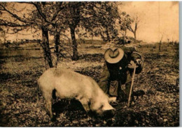 Deux Périgords Trouvent La Truffe. Carte Ecomusée De La Truffe Sotges En Périgord. - Landbouwers