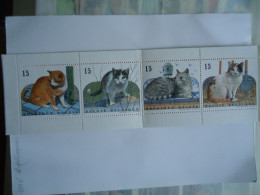 BELGIUM  BLOOKLET  MNH   1993  CATS  CAT PHOTO 2 - Chats Domestiques