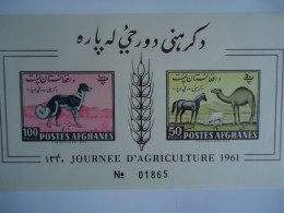 AFGHANISTAN  MNH   IMPERFORATE STAMPS   SHEET ANIMALS 1961  DOGS   CAMEL - Chiens