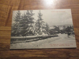 CP Saint Dié - Les Sapins Sous La Neige (Biscuits Et Madeleinettes Eug. Glade - Amiens ) - Saint Die