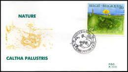 2572 - FDC - Natuur - Planten  #1  P1111 - 1991-2000