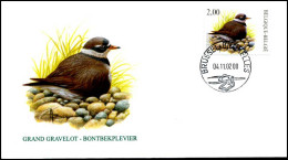 3139 - FDC - Bontbekplevier - Buzin #1 P - 2001-2010